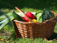 potager